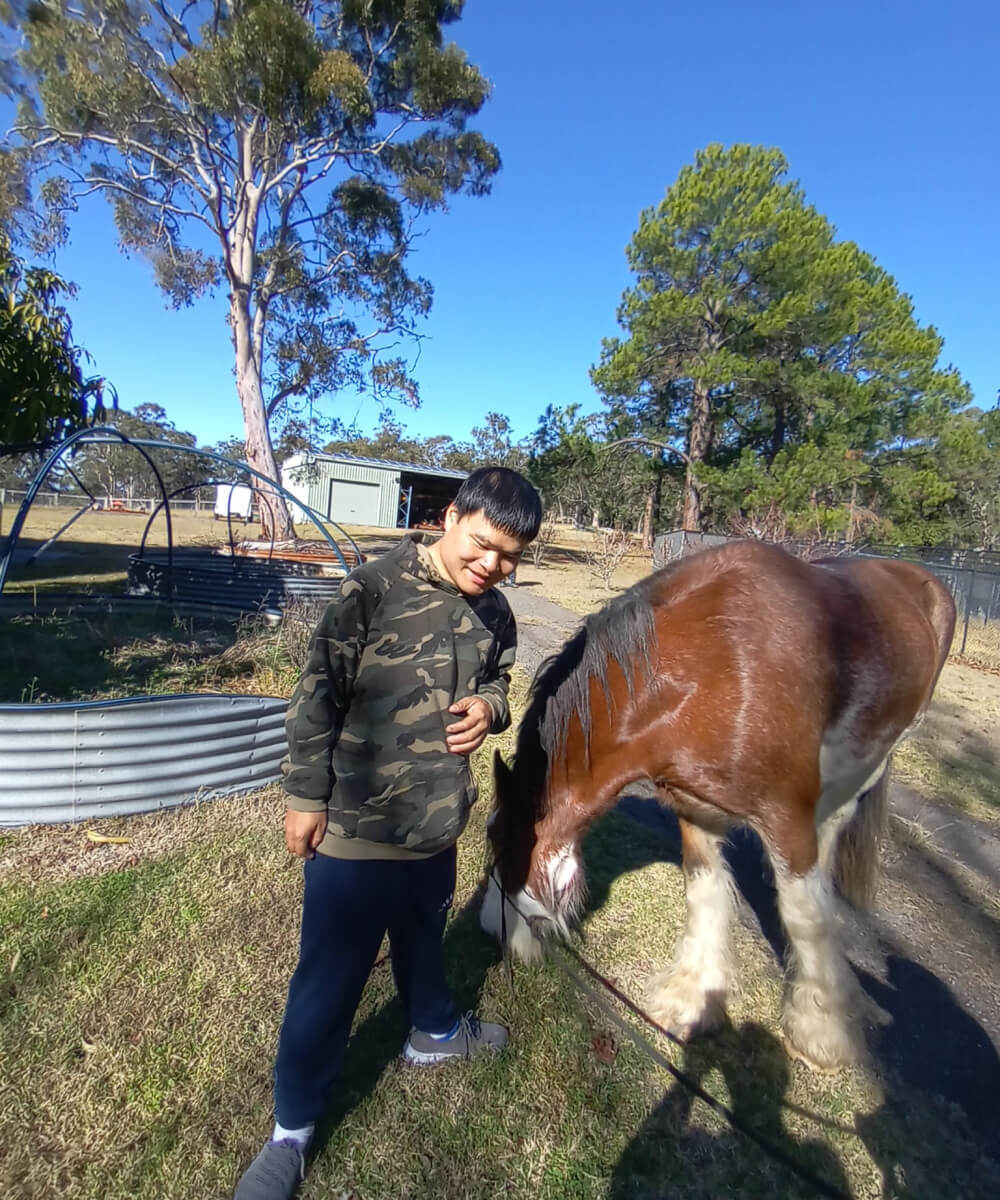 A young boy petting a horse in a field.