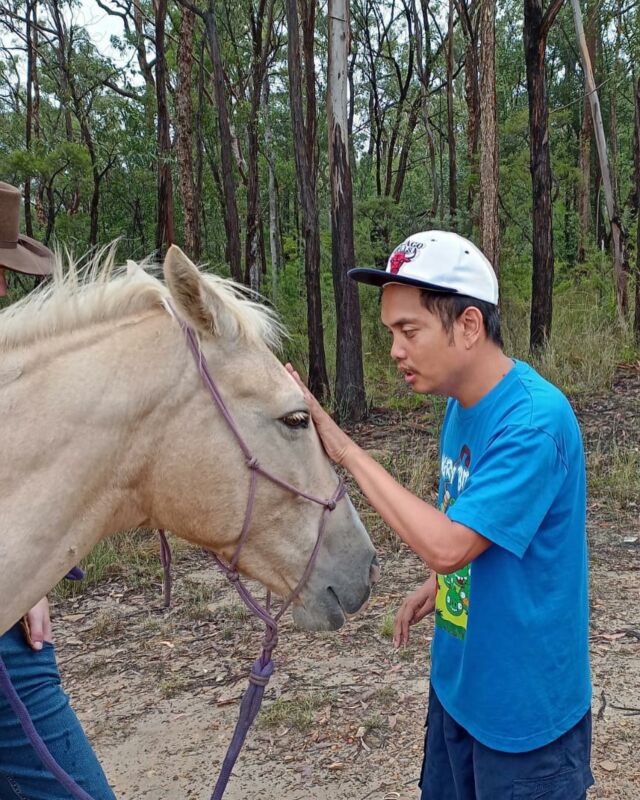 Theo visiting bush breed after taking some time off sconce Covid #ndis #ndisprovider #ndissupport 🐴🐎